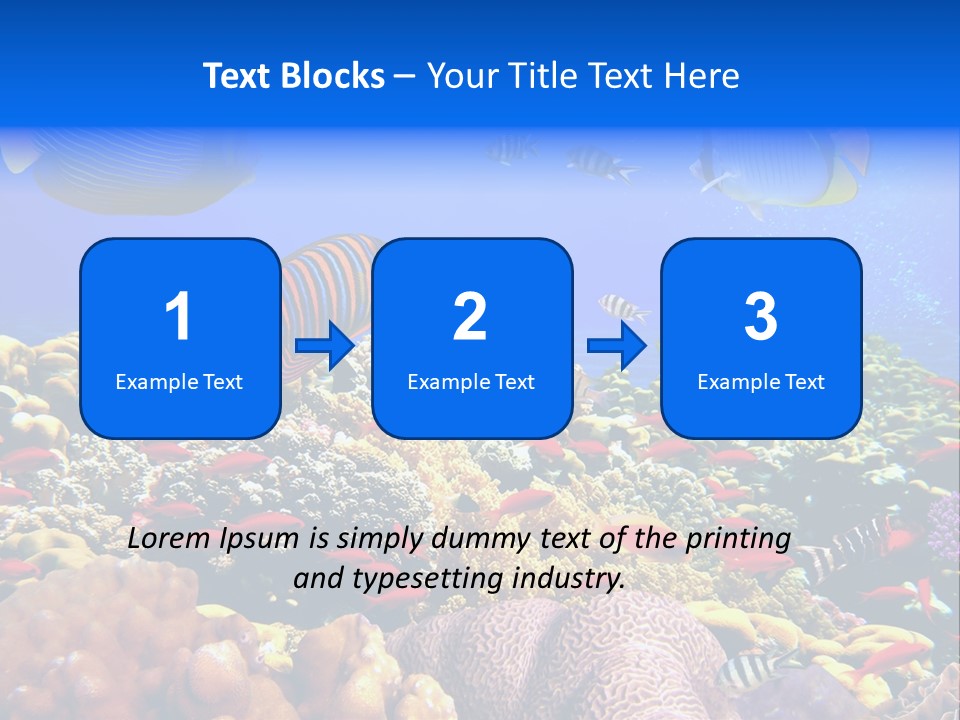 Tourism Bottom Exploration PowerPoint Template