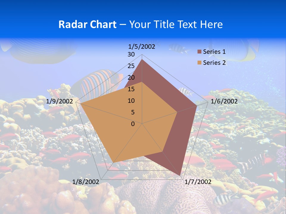 Tourism Bottom Exploration PowerPoint Template