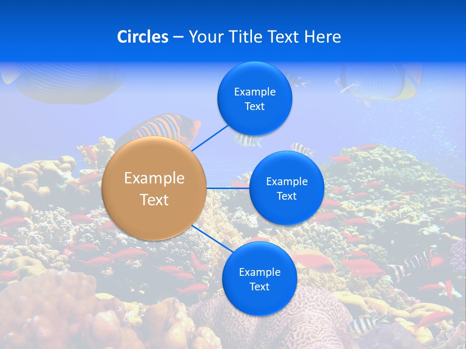 Tourism Bottom Exploration PowerPoint Template