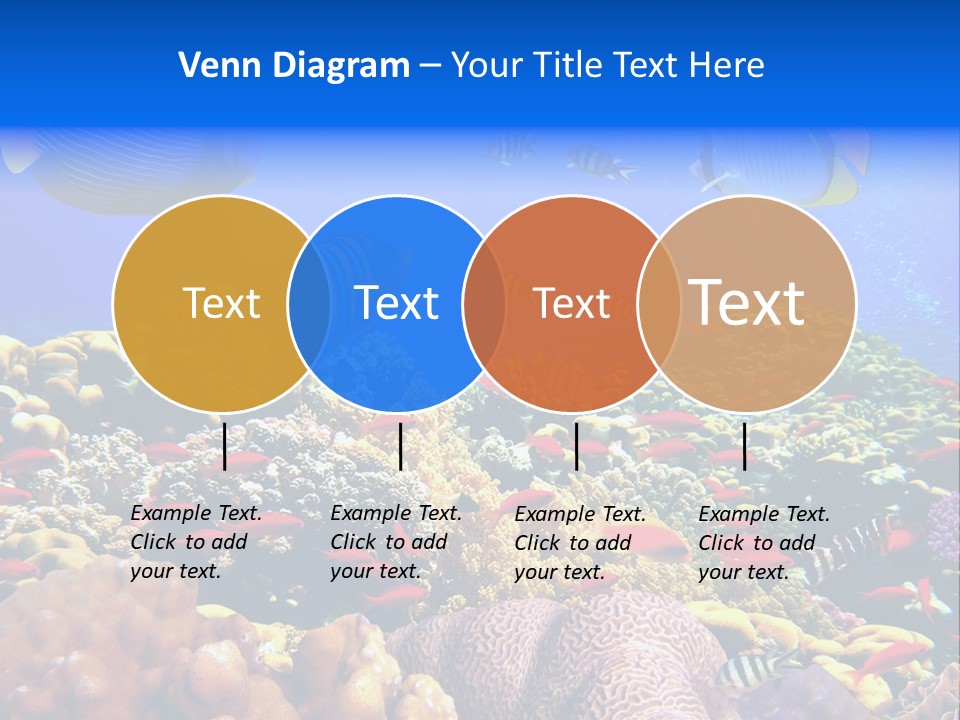 Tourism Bottom Exploration PowerPoint Template