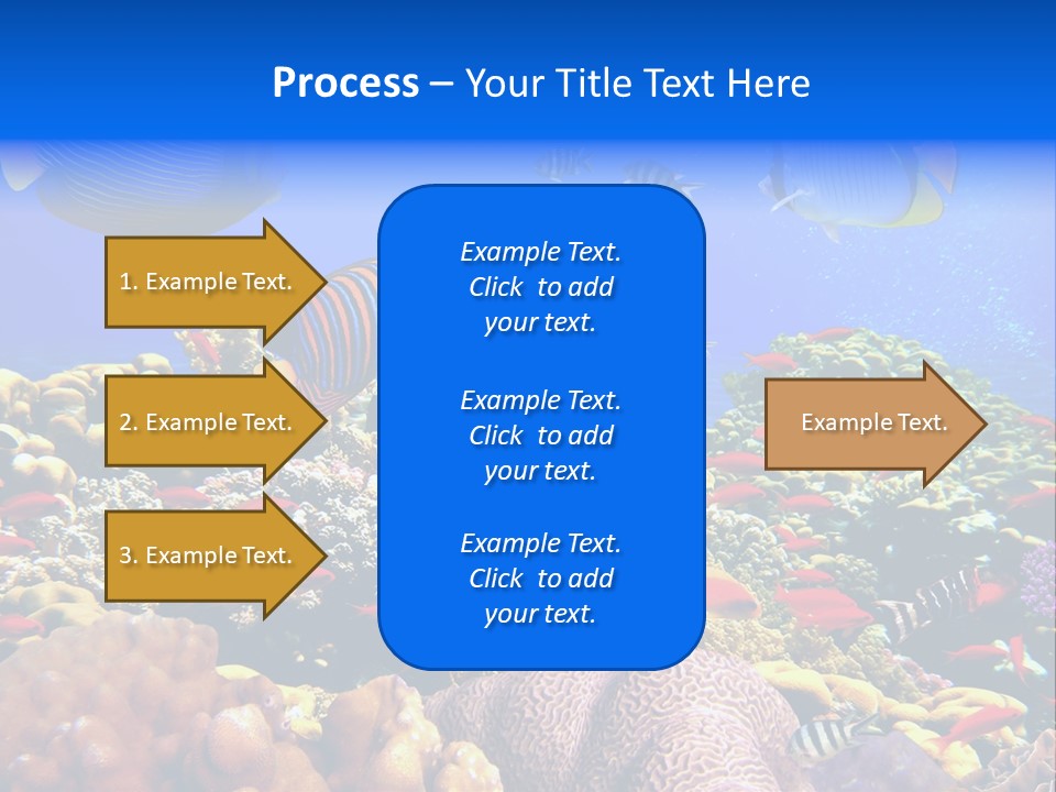 Tourism Bottom Exploration PowerPoint Template