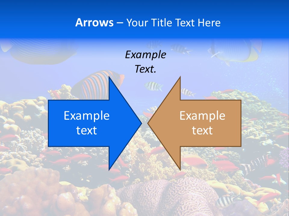 Tourism Bottom Exploration PowerPoint Template