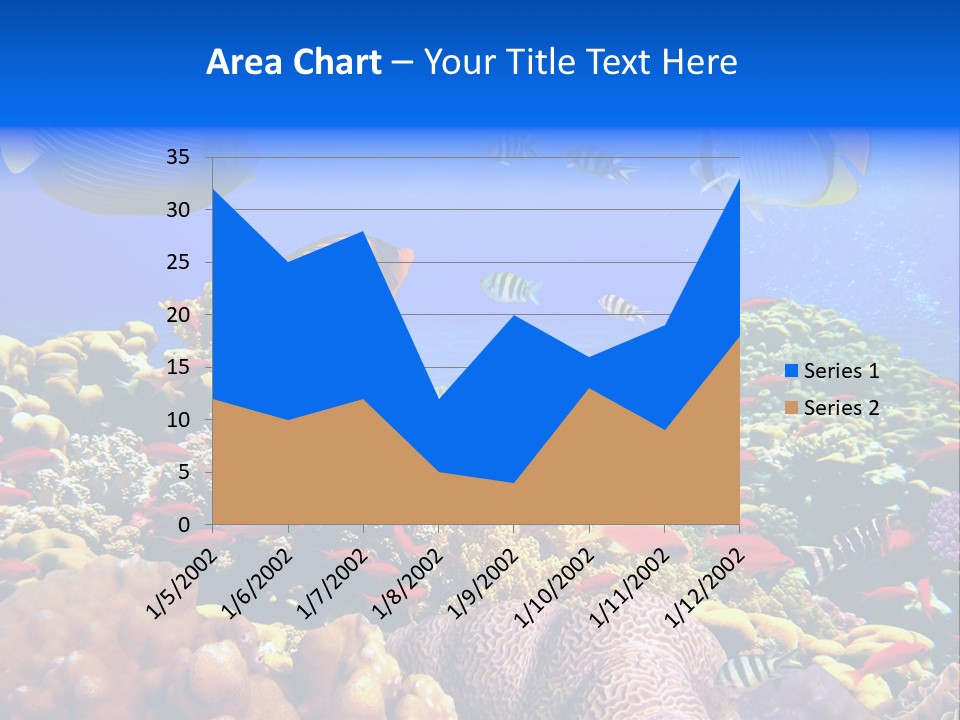 Tourism Bottom Exploration PowerPoint Template