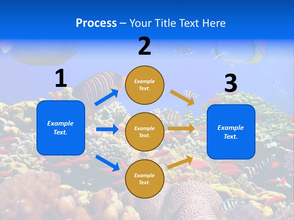 Tourism Bottom Exploration PowerPoint Template