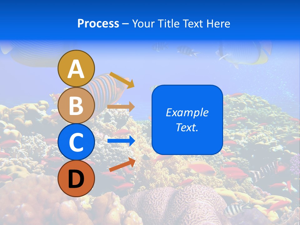 Tourism Bottom Exploration PowerPoint Template