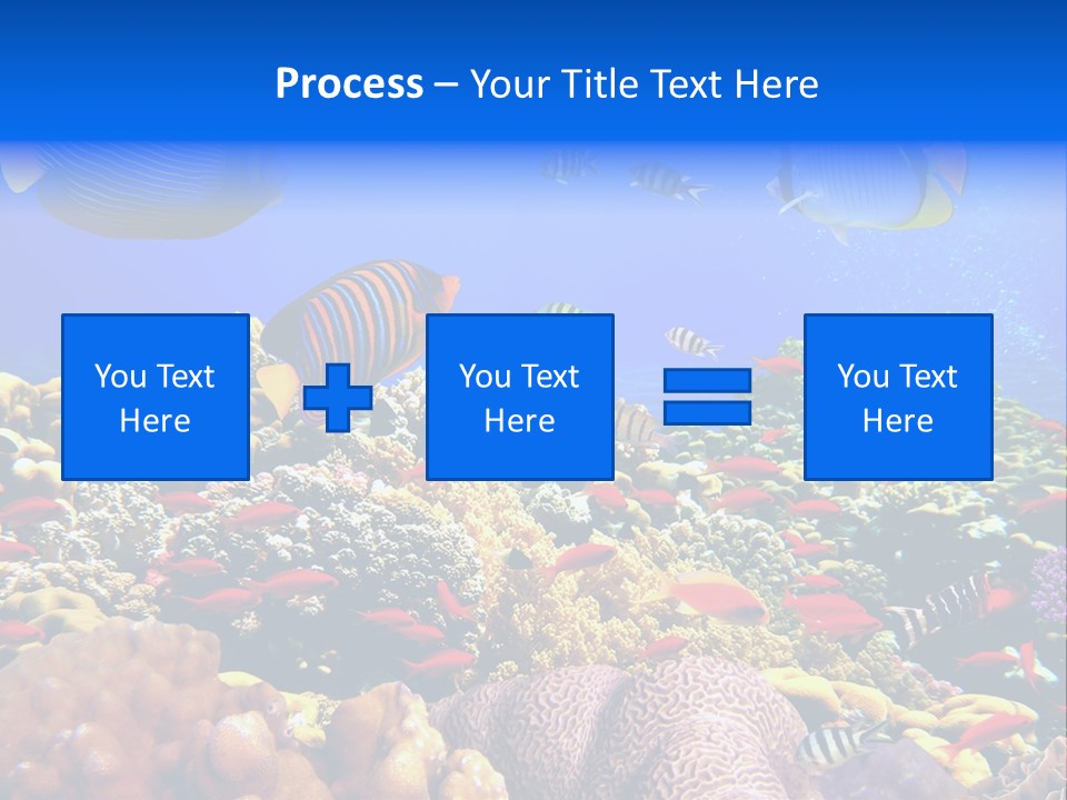 Tourism Bottom Exploration PowerPoint Template