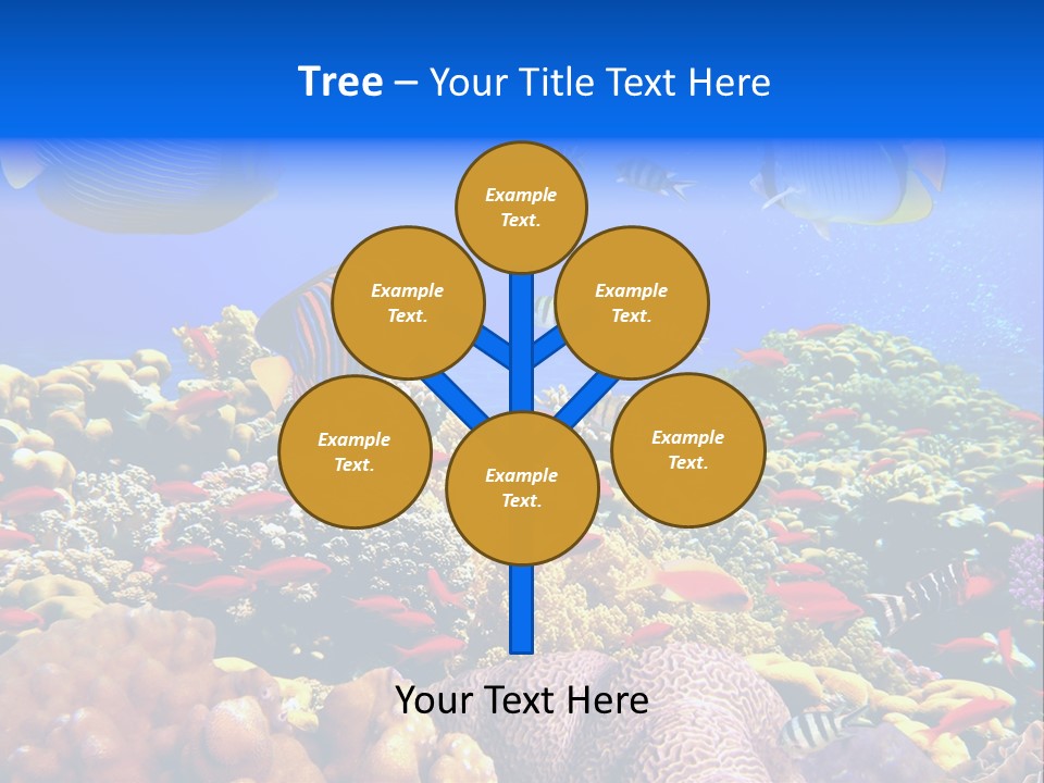 Tourism Bottom Exploration PowerPoint Template