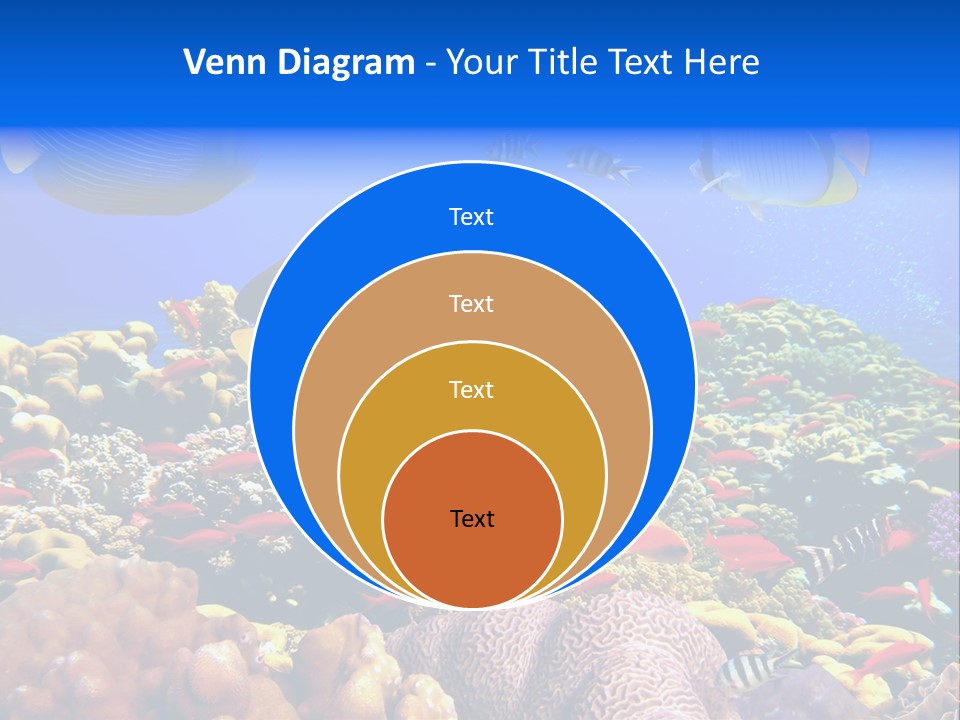 Tourism Bottom Exploration PowerPoint Template