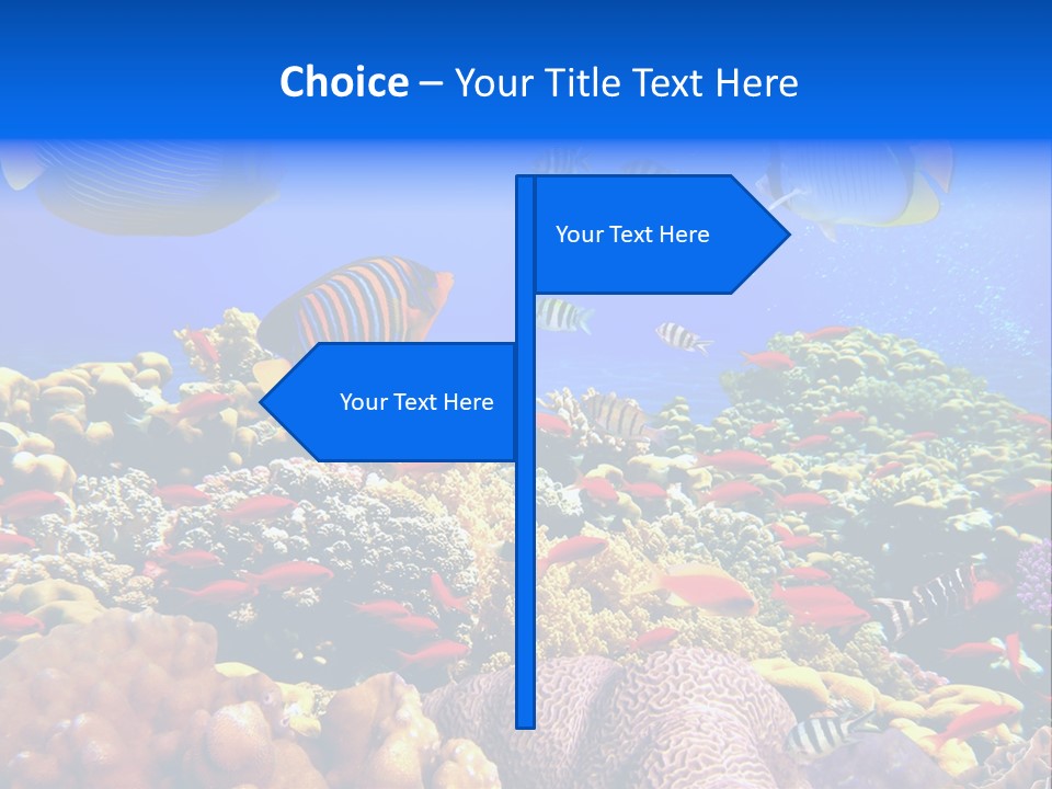 Tourism Bottom Exploration PowerPoint Template