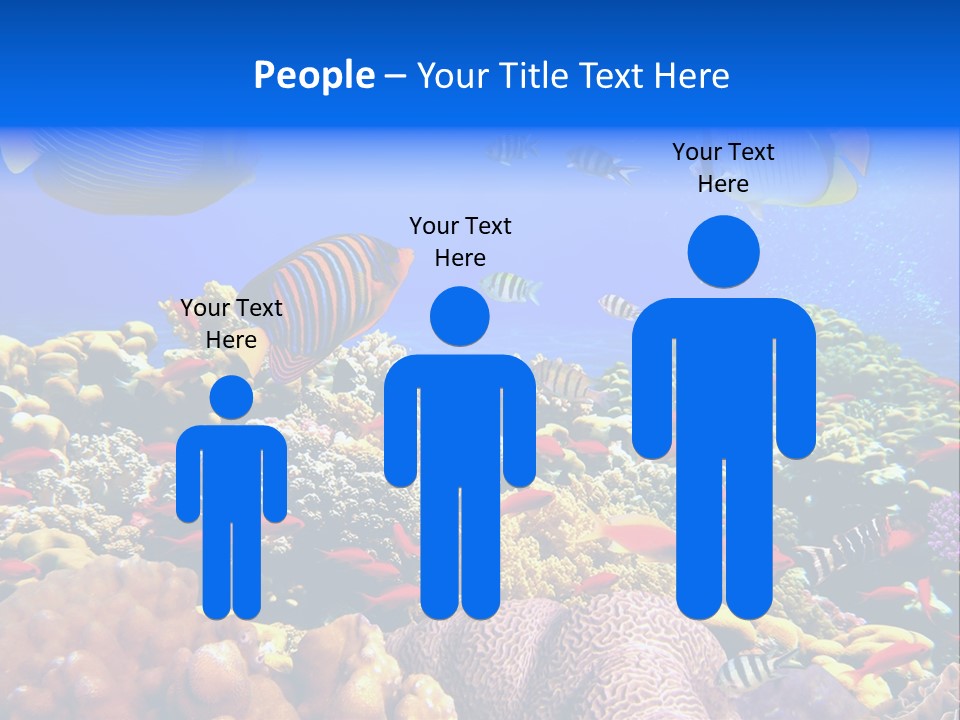 Tourism Bottom Exploration PowerPoint Template