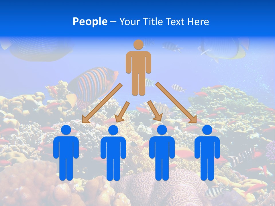 Tourism Bottom Exploration PowerPoint Template