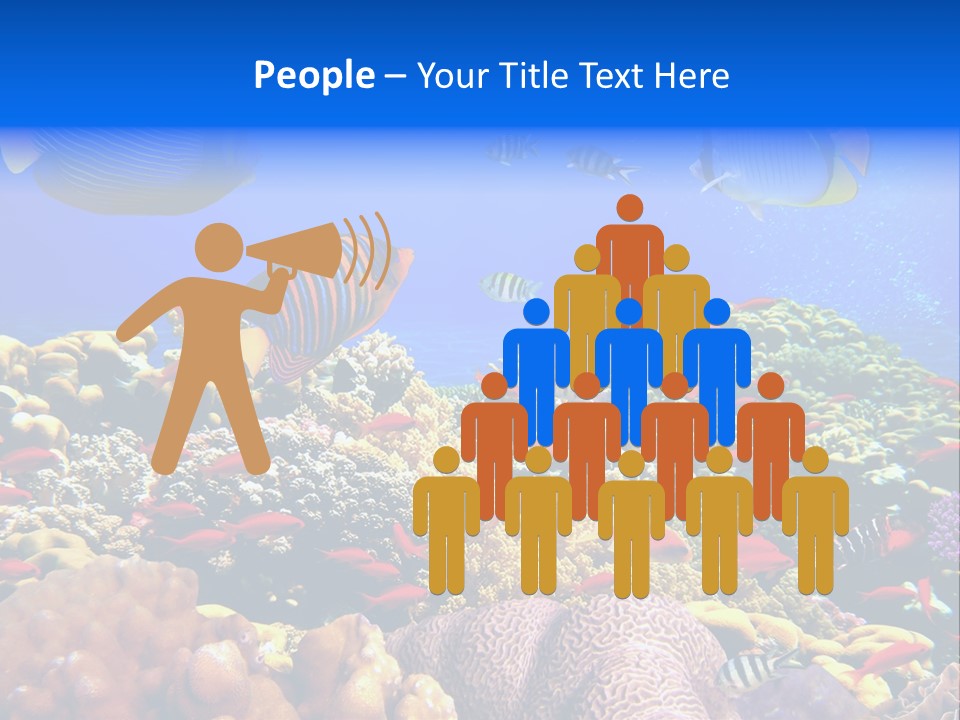 Tourism Bottom Exploration PowerPoint Template