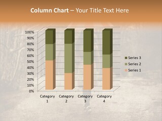 Women Rain Tree PowerPoint Template