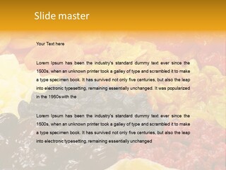 Dates Multi Fig PowerPoint Template