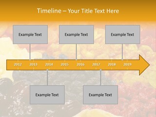 Dates Multi Fig PowerPoint Template