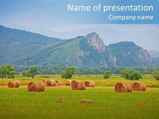 Farming Rural Rick PowerPoint Template