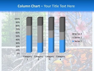 Colors Changing Weather PowerPoint Template