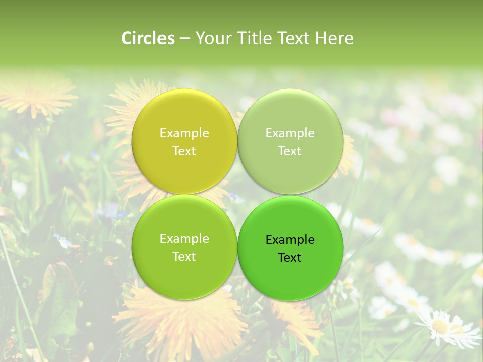 Yellow Spring Day PowerPoint Template