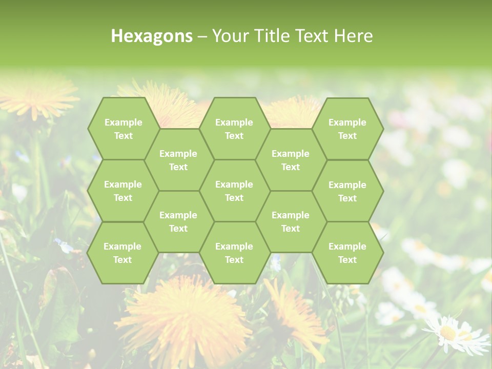 Yellow Spring Day PowerPoint Template