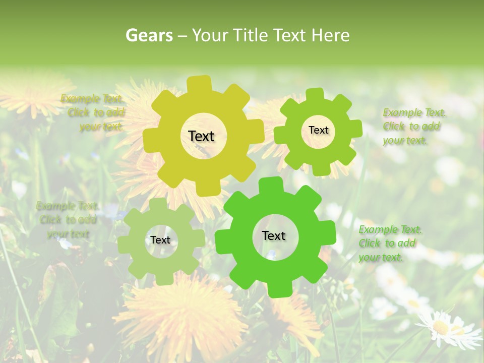 Yellow Spring Day PowerPoint Template