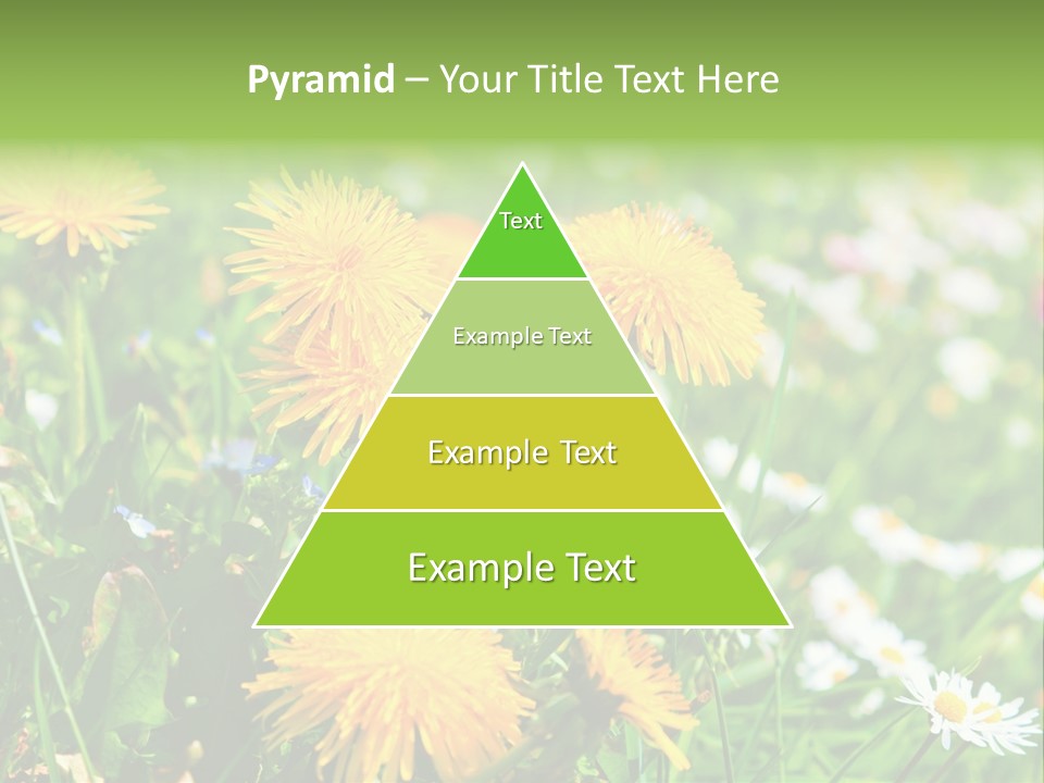 Yellow Spring Day PowerPoint Template