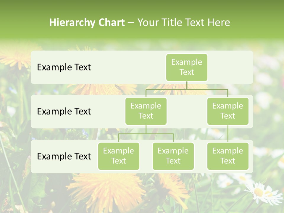 Yellow Spring Day PowerPoint Template