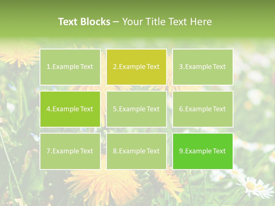 Yellow Spring Day PowerPoint Template