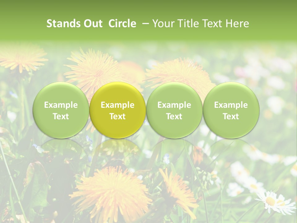 Yellow Spring Day PowerPoint Template