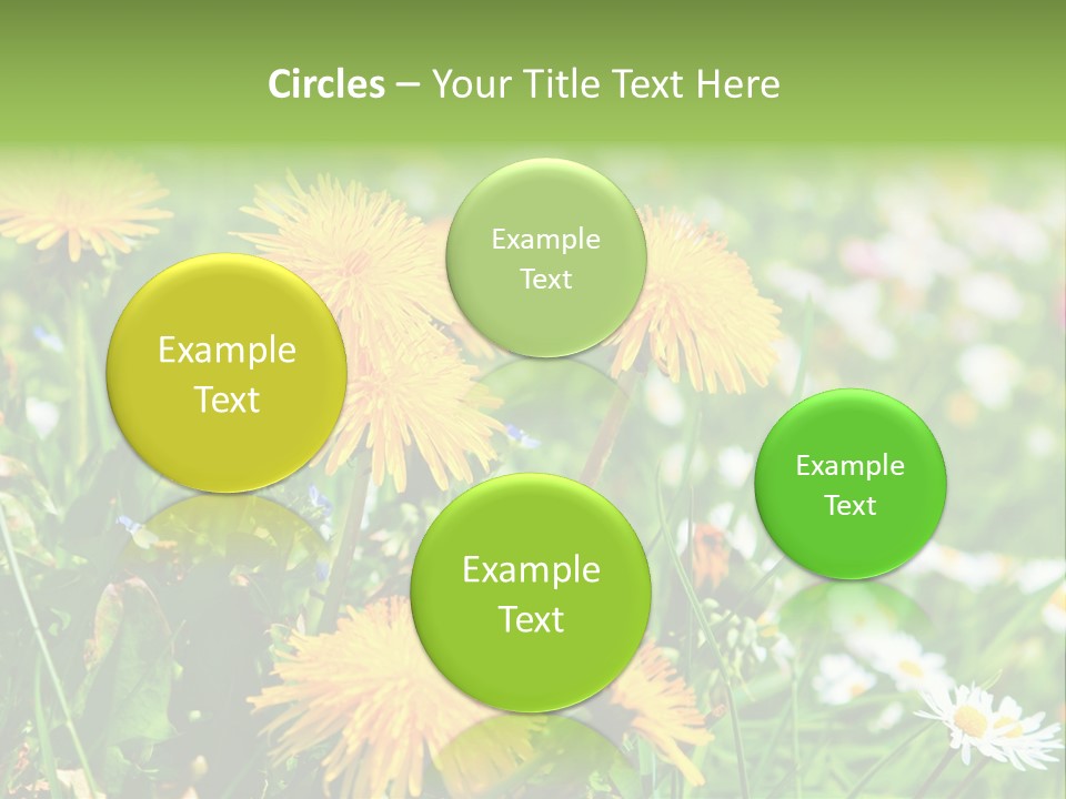 Yellow Spring Day PowerPoint Template