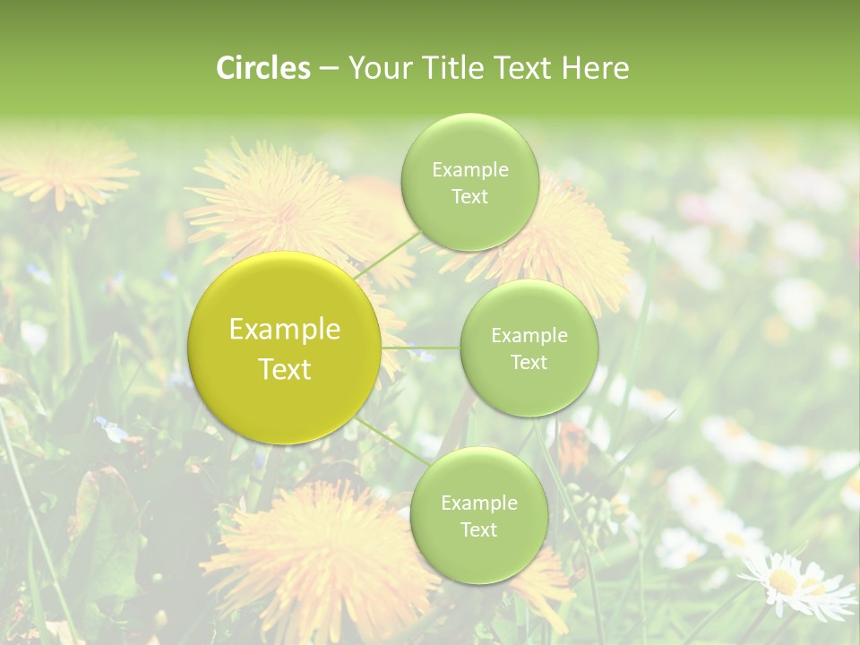 Yellow Spring Day PowerPoint Template