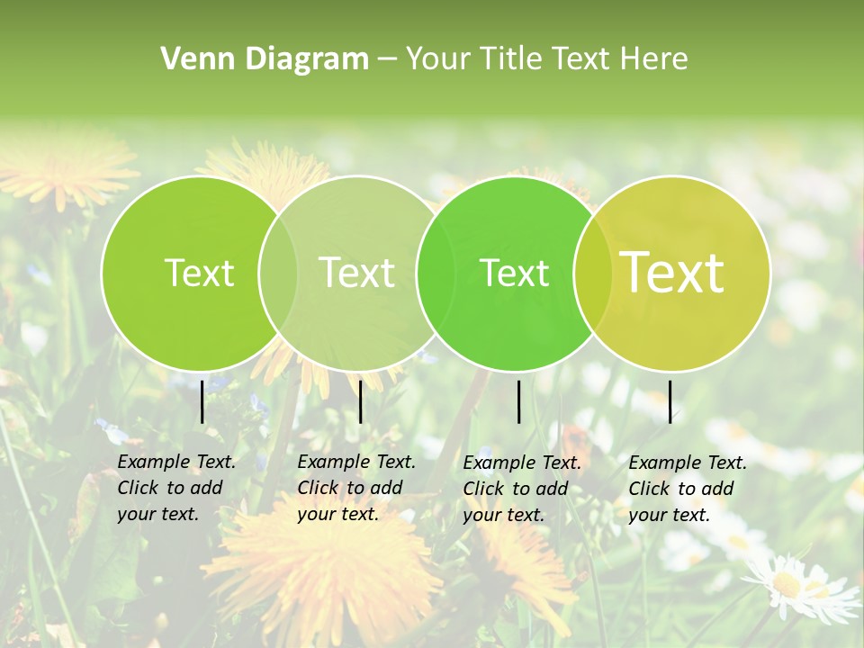Yellow Spring Day PowerPoint Template