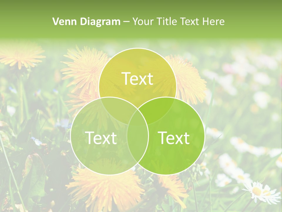 Yellow Spring Day PowerPoint Template
