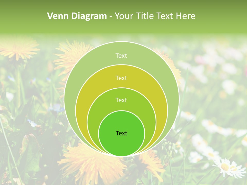 Yellow Spring Day PowerPoint Template