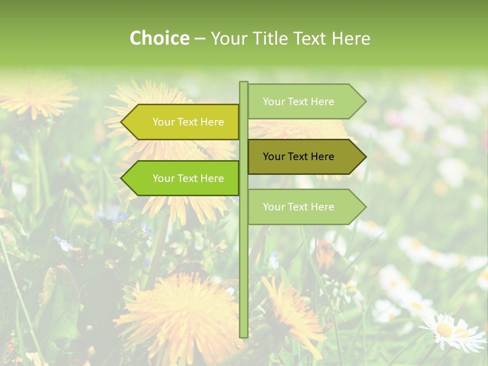 Yellow Spring Day PowerPoint Template