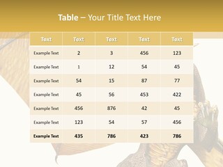 Character Concept Fire PowerPoint Template