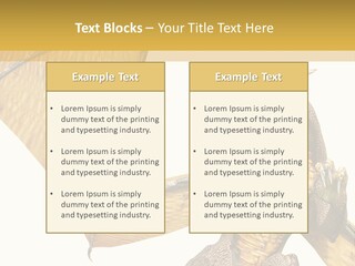 Character Concept Fire PowerPoint Template