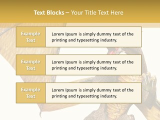 Character Concept Fire PowerPoint Template