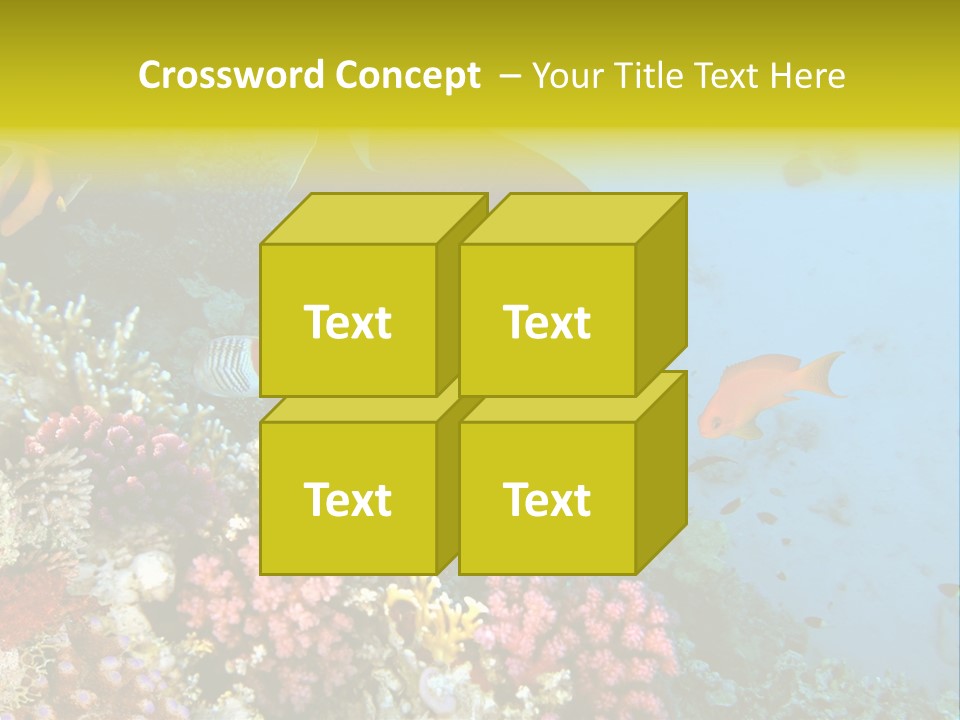 Ocean Israel Exotic PowerPoint Template