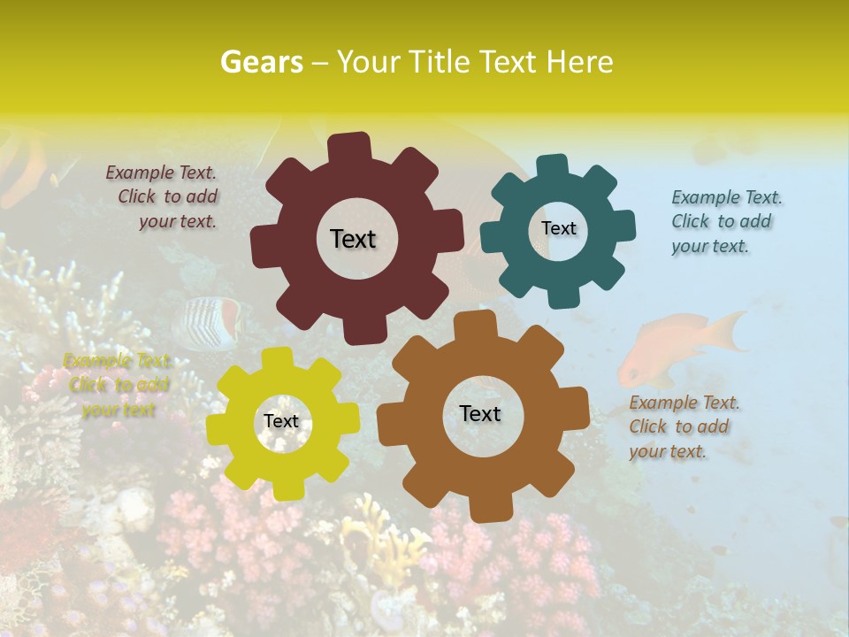 Ocean Israel Exotic PowerPoint Template