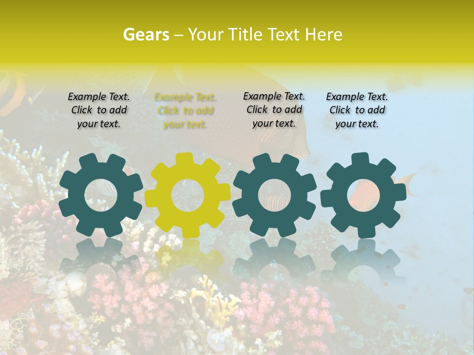 Ocean Israel Exotic PowerPoint Template