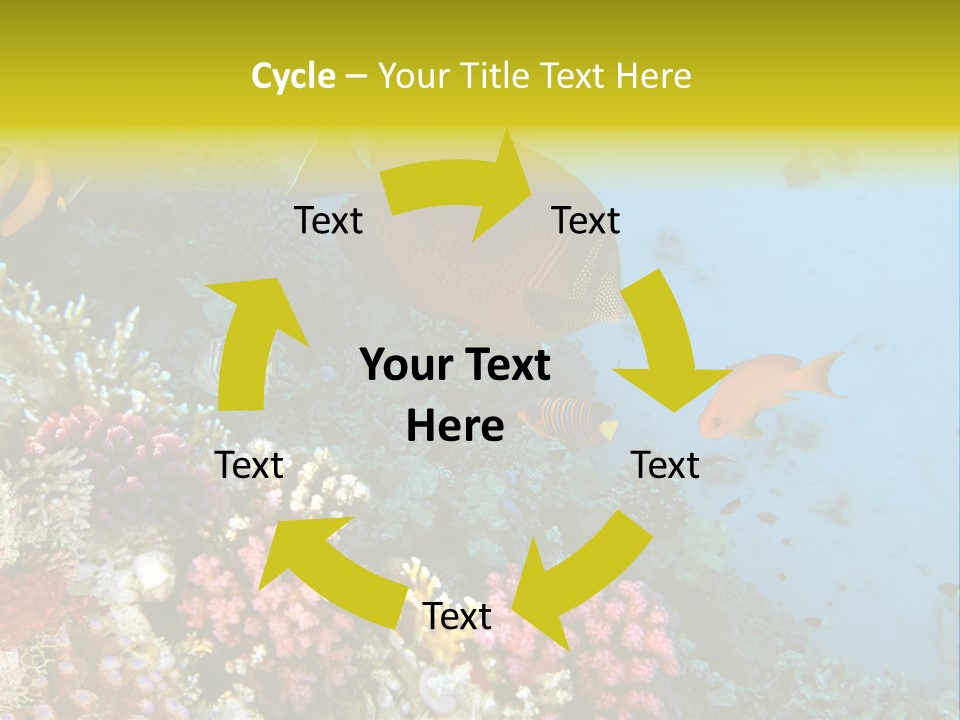 Ocean Israel Exotic PowerPoint Template