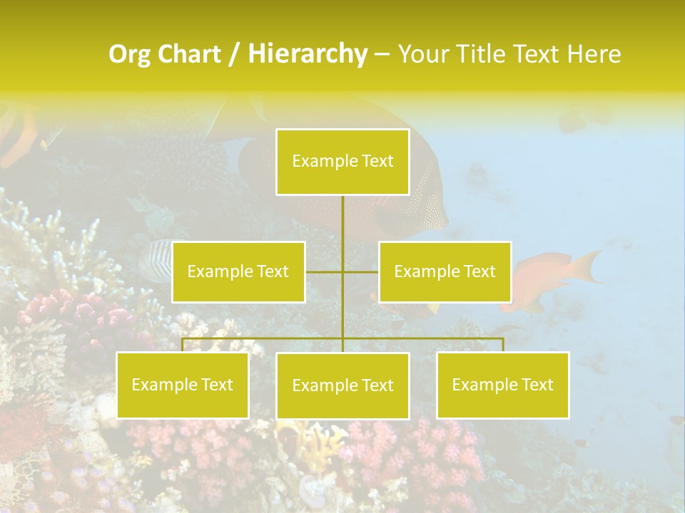 Ocean Israel Exotic PowerPoint Template