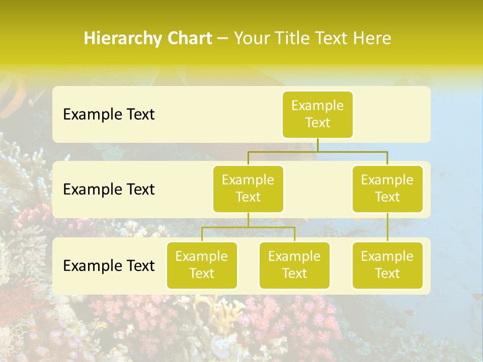 Ocean Israel Exotic PowerPoint Template