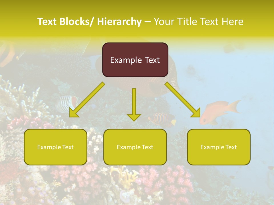 Ocean Israel Exotic PowerPoint Template