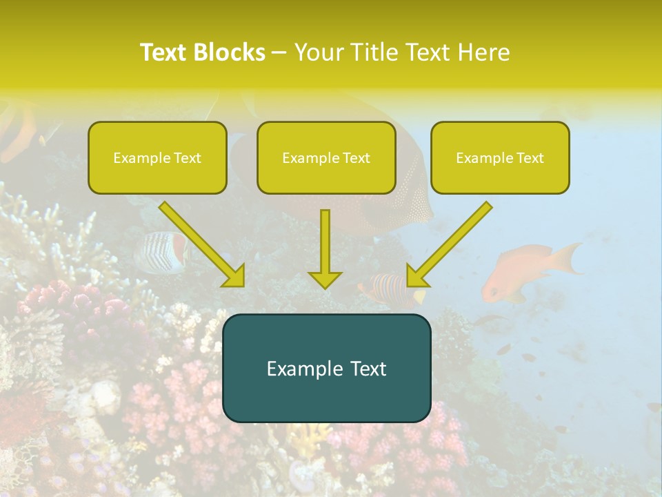 Ocean Israel Exotic PowerPoint Template