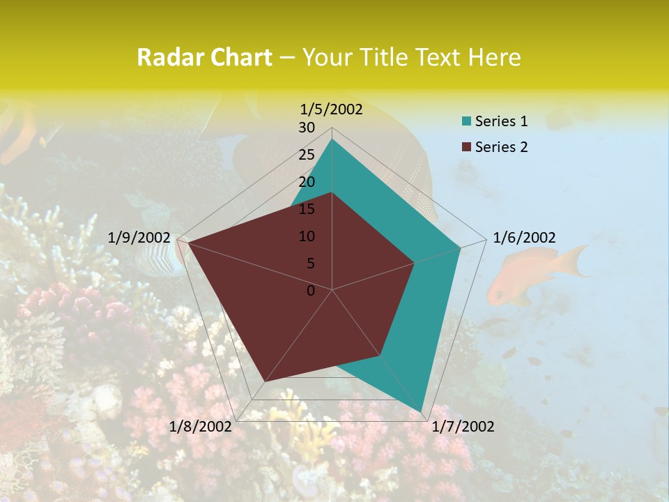 Ocean Israel Exotic PowerPoint Template