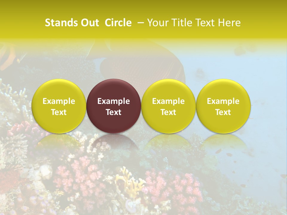 Ocean Israel Exotic PowerPoint Template