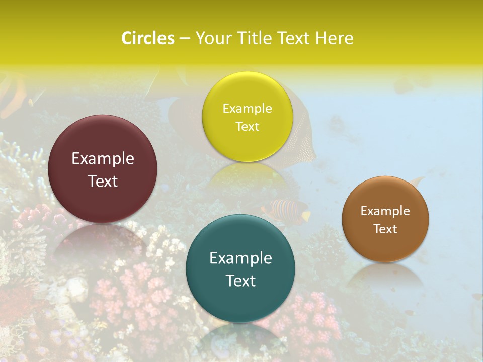 Ocean Israel Exotic PowerPoint Template