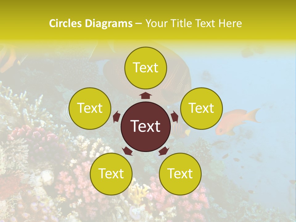 Ocean Israel Exotic PowerPoint Template