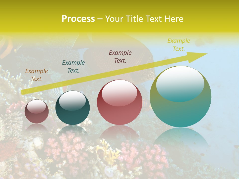 Ocean Israel Exotic PowerPoint Template